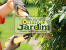 Serviço de poda em jardim – Como a Poda Adequada Pode Prevenir Pragas e Doenças no Jardim?