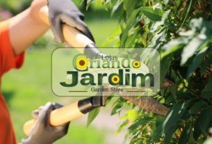 Serviço de poda em jardim – Como a Poda Adequada Pode Prevenir Pragas e Doenças no Jardim?