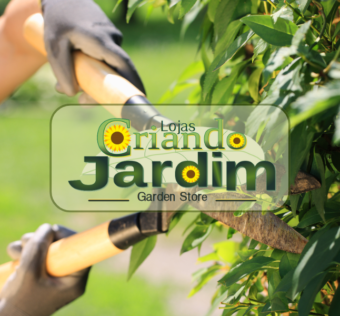 Serviço de poda em jardim – Como a Poda Adequada Pode Prevenir Pragas e Doenças no Jardim?