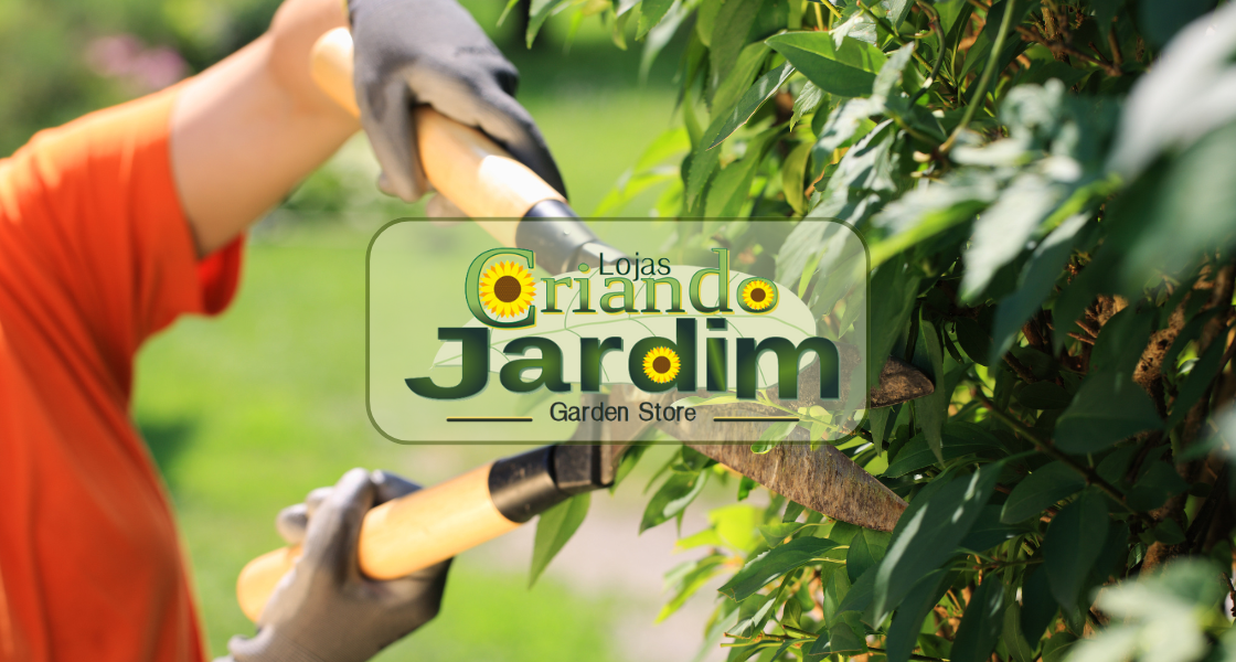 Serviço de poda em jardim – Como a Poda Adequada Pode Prevenir Pragas e Doenças no Jardim?